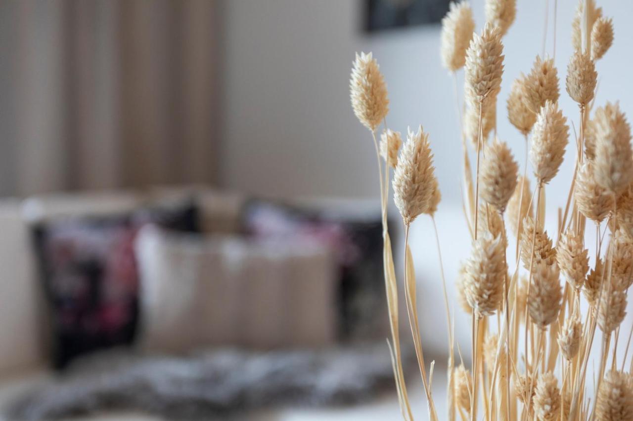 Vasko Luxurious Suites, Hiisi 罗瓦涅米 外观 照片